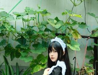 白莉爱吃巧克力的雷电将军，免费的图片，你敢点吗？我敢保证不后悔！