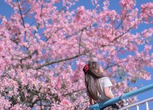 揭晓萌芽儿o0dva原图:合集里闪现的耐人寻味