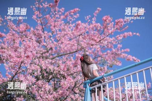 萌芽儿o0 揭晓萌芽儿o0dva原图:合集里闪现的耐人寻味